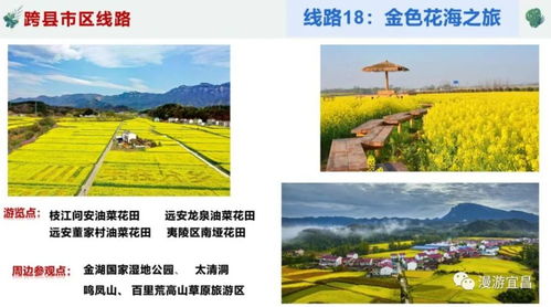 乐游宜昌,四季精彩 宜昌20条休闲农业精品线路发布