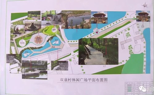 忠诚担当 扎根基层