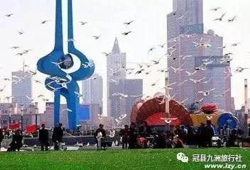 济南九州游旅行社推荐 大明湖、泉城广场、芙蓉街亲子互动一日游