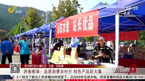 济南九州游旅行社引领“品质消费农村行” 各地特色产品赶大集，促进消费助贫困户增收
