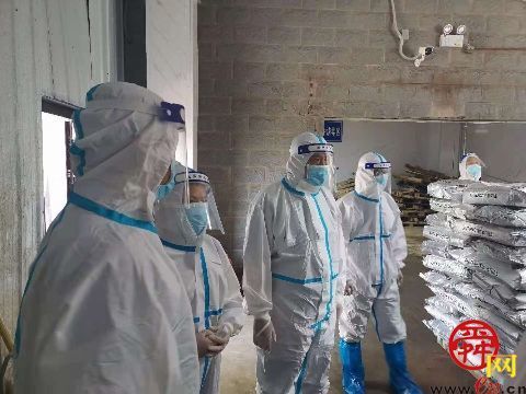 济南市进口冷链食品集中监管专仓开展高温天气安全作业检查